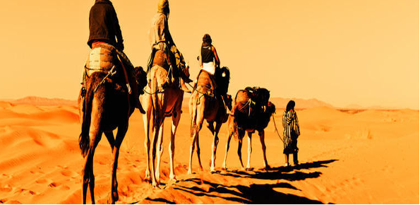 Cultural Tours