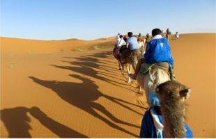 Sahara Desert Trips